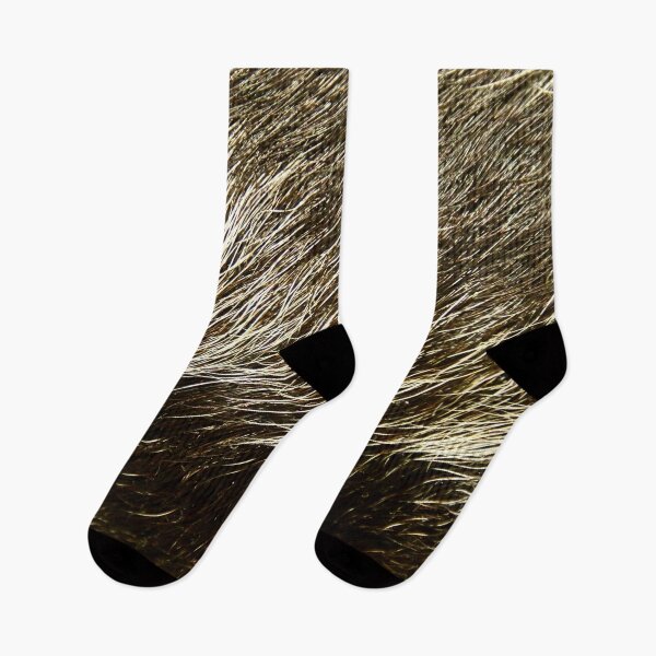 Item preview, Wild boar bristles - close-up / Swiss Artwork Photography designed and sold by Raphael Wolf.
