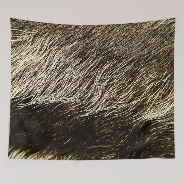 Item preview, Wild boar bristles - close-up / Swiss Artwork Photography designed and sold by Raphael Wolf.