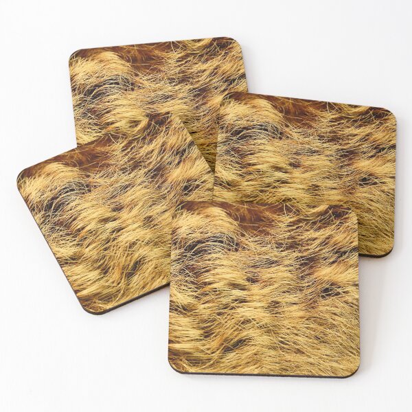 Item preview, Golden bristles - close-up / Swiss Artwork Photography designed and sold by Raphael Wolf.