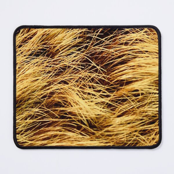 Item preview, Golden bristles - close-up / Swiss Artwork Photography designed and sold by Raphael Wolf.