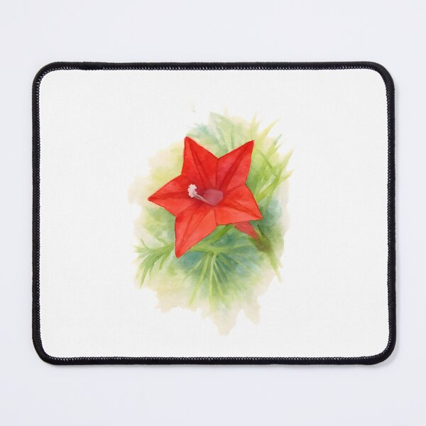 Item preview, Ipomoea quamoclit (Cypress Vine) designed and sold by HOMETOWN86.
