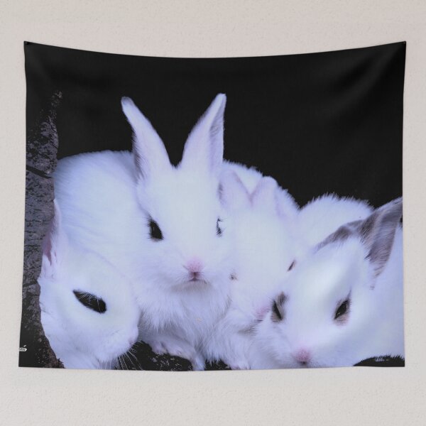 Item preview, Four white rabbits – Cozy harmony / Swiss Artwork Photography designed and sold by Raphael Wolf.