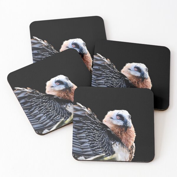Item preview, Bearded vulture in the darkness – majesty of the night / Swiss Artwork Photography designed and sold by Raphael Wolf.