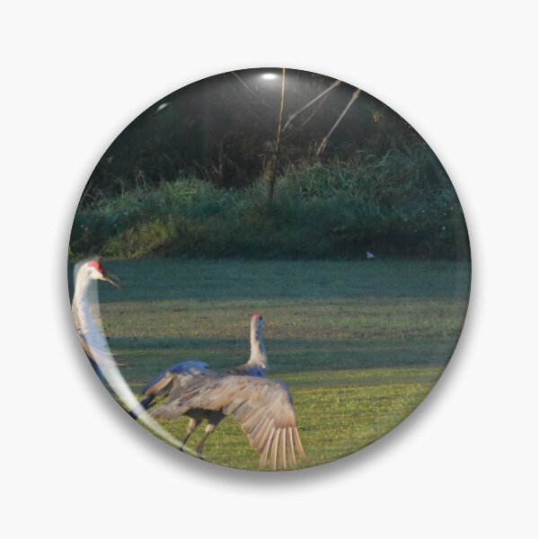 Item preview, Cranes Dancing in a Field designed and sold by MercerImages.