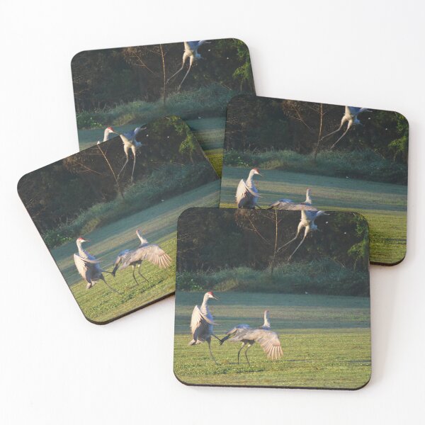 Item preview, Cranes Dancing in a Field designed and sold by MercerImages.