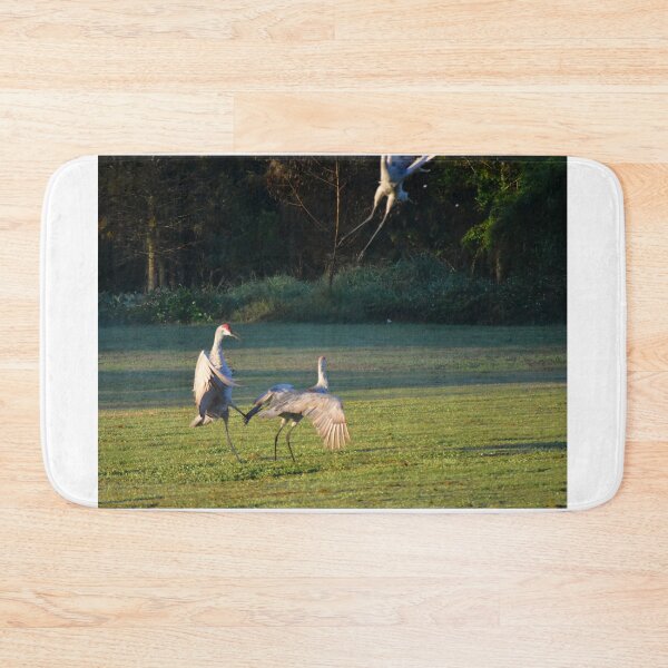 Item preview, Cranes Dancing in a Field designed and sold by MercerImages.