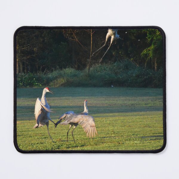 Item preview, Cranes Dancing in a Field designed and sold by MercerImages.