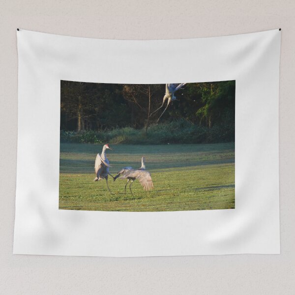 Item preview, Cranes Dancing in a Field designed and sold by MercerImages.