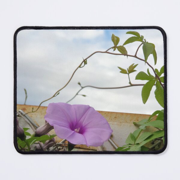 Item preview, morning glory sky designed and sold by ichirochen.