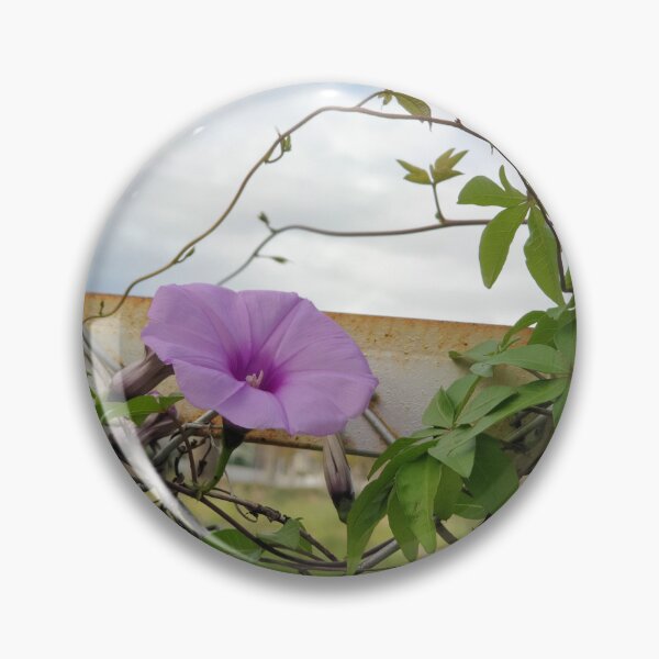 Item preview, morning glory sky designed and sold by ichirochen.