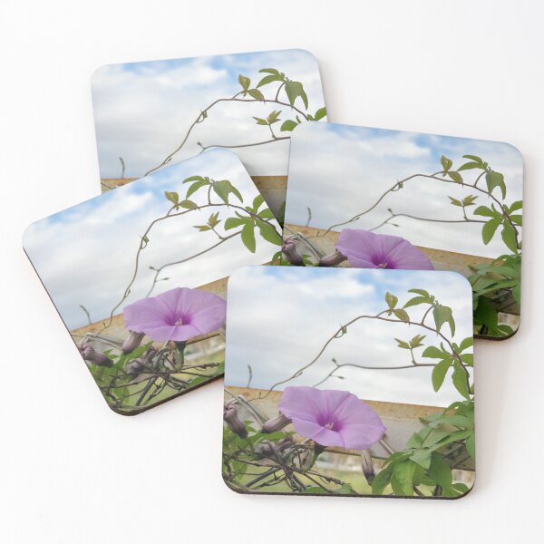 Item preview, morning glory sky designed and sold by ichirochen.