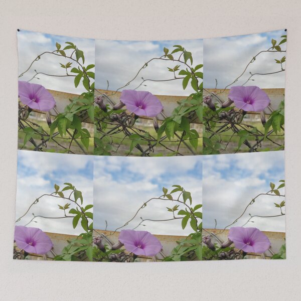Item preview, morning glory sky designed and sold by ichirochen.