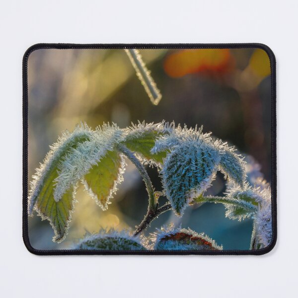 Item preview, Frost on Leafy Branches designed and sold by Veikko  Suikkanen.