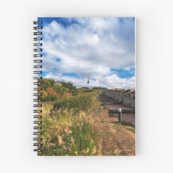 Item preview, Seoul Namsan Baekbeom Square Autumn designed and sold by aaronchoi.