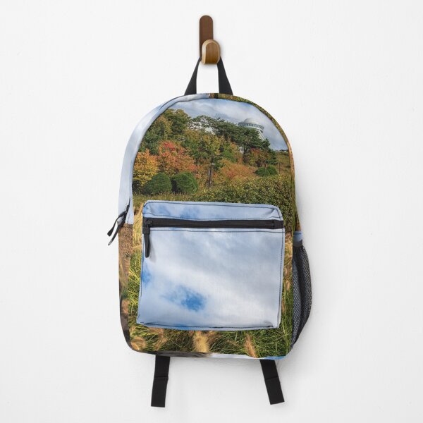 Item preview, Seoul Namsan Baekbeom Square Autumn designed and sold by aaronchoi.
