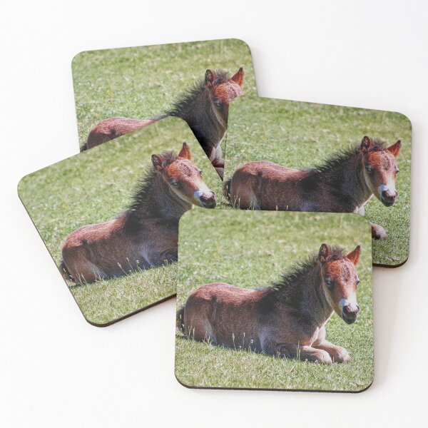 Item preview, Born to be wild designed and sold by ChimaHome.