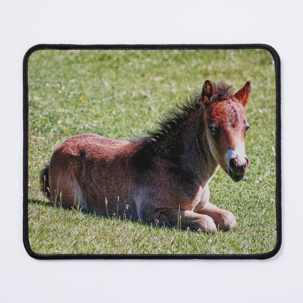 Item preview, Born to be wild designed and sold by ChimaHome.