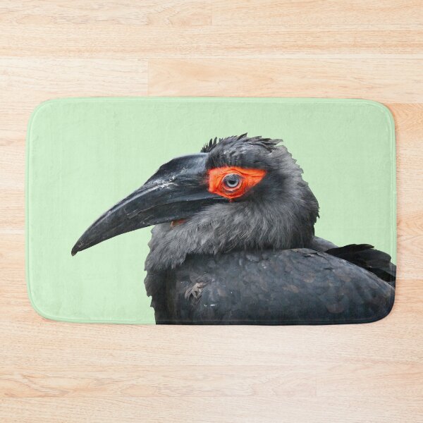 Item preview, Raven-like bird - roach / Swiss Artwork Photography designed and sold by Raphael Wolf.