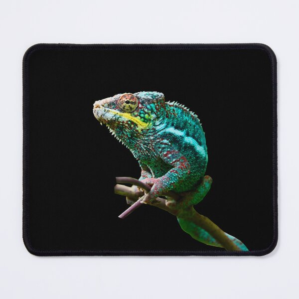 Item preview, Chameleon - Magnificent Colors / Swiss Artwork Photography designed and sold by Raphael Wolf.