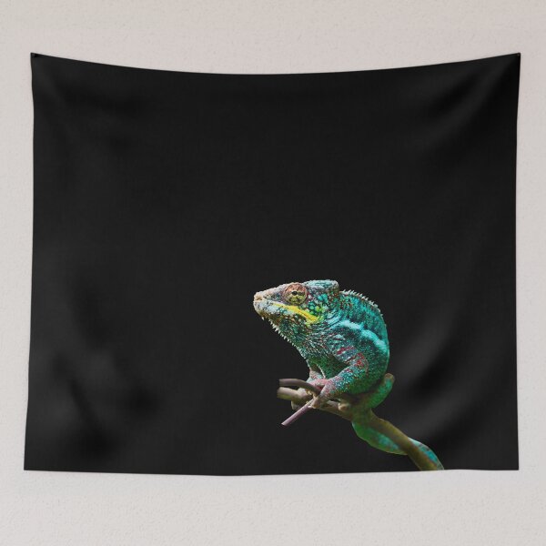 Item preview, Chameleon - Magnificent Colors / Swiss Artwork Photography designed and sold by Raphael Wolf.