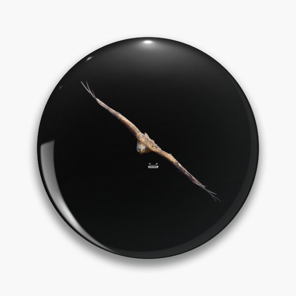 Item preview, Eagle in gliding flight – Sharp vision / Swiss Artwork Photography designed and sold by Raphael Wolf.