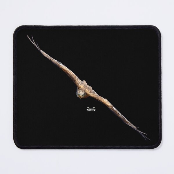 Item preview, Eagle in gliding flight – Sharp vision / Swiss Artwork Photography designed and sold by Raphael Wolf.