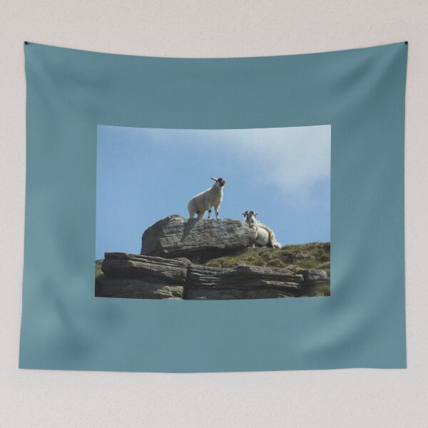 Item preview, Sheep on a rock designed and sold by derbyshireduck.