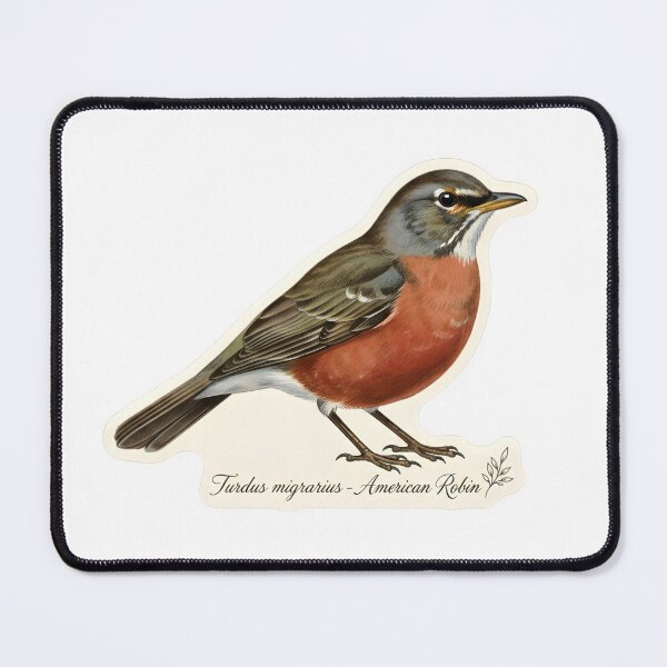 Item preview, Vintage American Bird Field Guide Illustration T-Shirt | American Robin designed and sold by NatureNookTees.