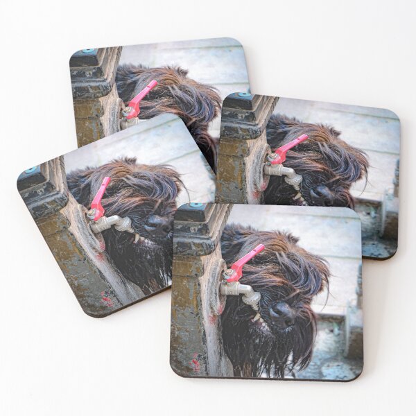 Item preview, “Thirsty Soul” – Shaggy Dog at the Outdoor Tap designed and sold by Theo's Studio.