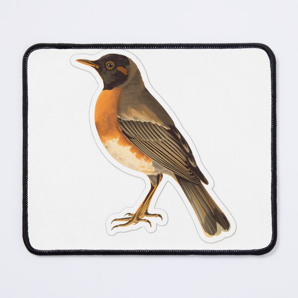 Item preview, American Robin Bird Lover Gift T-Shirt | Vintage Birdwatching Illustration designed and sold by NatureNookTees.