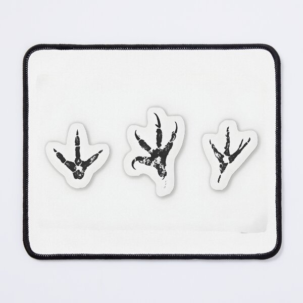 Item preview, Bird Footprint Identification Stickers| Set of 3 (Webbed, Raptor, Songbird) for Nature Journals & Education designed and sold by NatureNookTees.