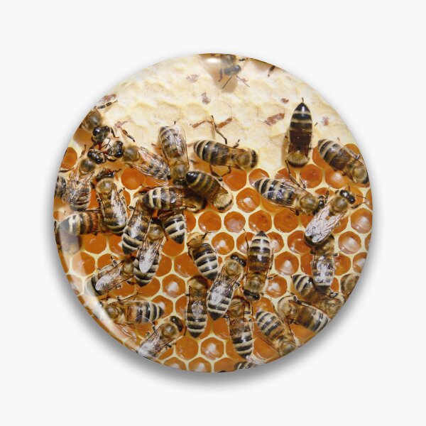 Item preview, Honeycomb with bees – Social structure / Swiss Artwork Photography designed and sold by Raphael Wolf.
