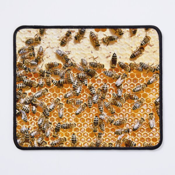 Item preview, Honeycomb with bees – Social structure / Swiss Artwork Photography designed and sold by Raphael Wolf.
