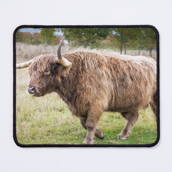 Item preview, Hairy Cow designed and sold by JEZ22.