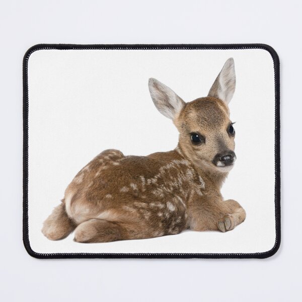 Item preview, fawn sticker 5 designed and sold by inainart.