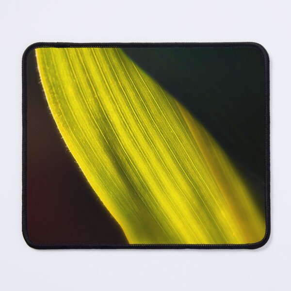 Item preview, Cornstalk Illuminated designed and sold by Jim Love.