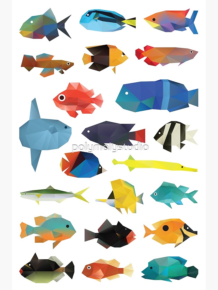 Tropical Fish chart Art Print for Sale by polymolystudio