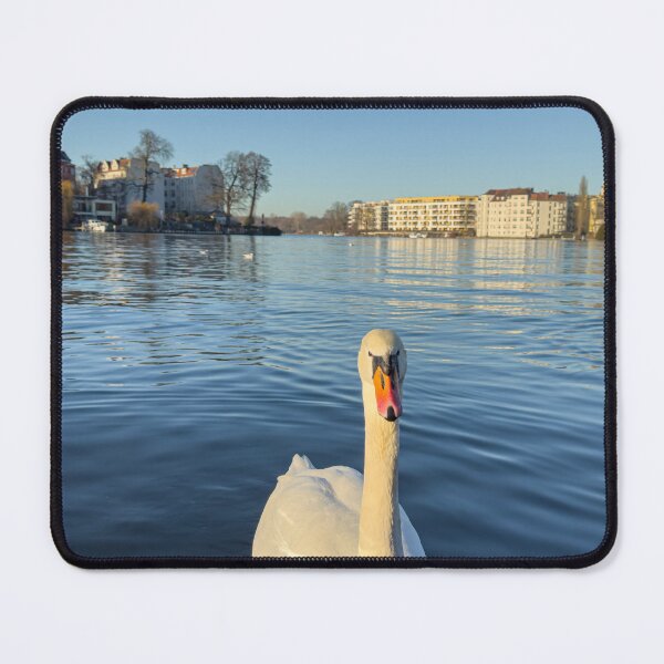 Item preview, Elegant Swan on Blue Water designed and sold by TsvietkovaArt.
