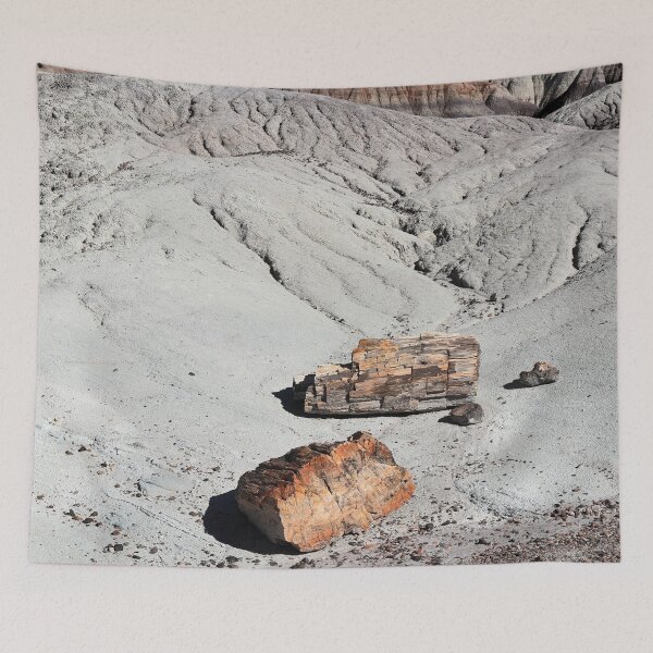 Item preview, Petrified Forest Scene designed and sold by Tamas Bakos.