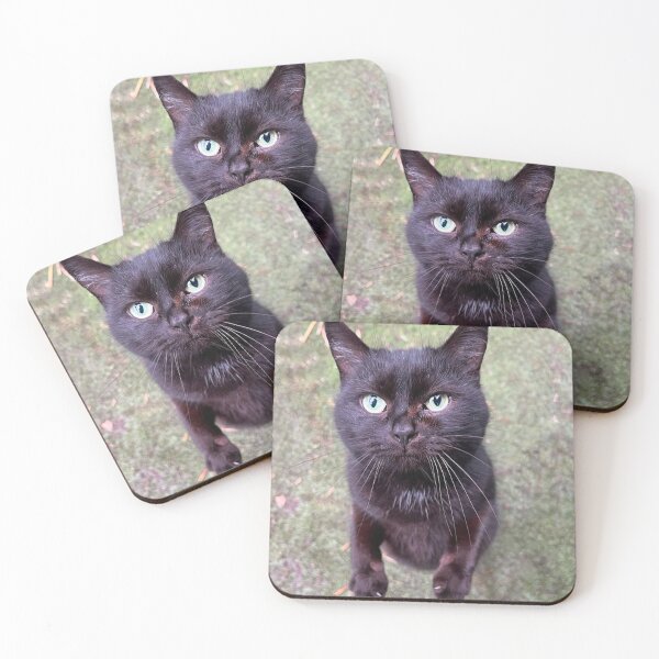 Item preview, Sutton - Beautiful black cat  designed and sold by Hallswood.