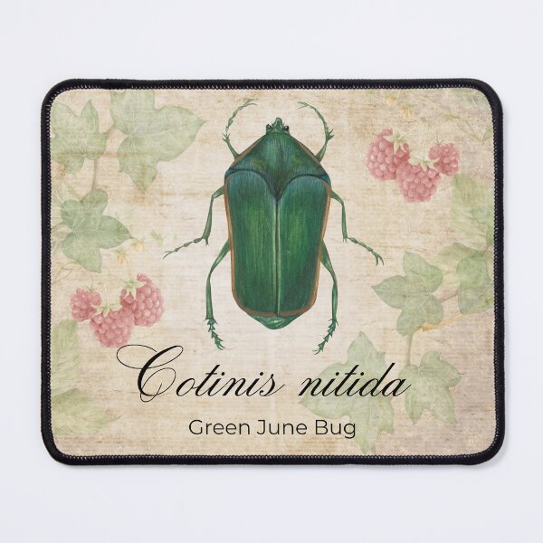 Item preview, June Bug Vintage Art & Science designed and sold by Biofilia.