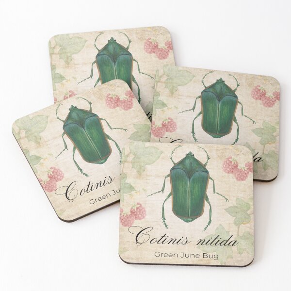 Item preview, June Bug Vintage Art & Science designed and sold by Biofilia.