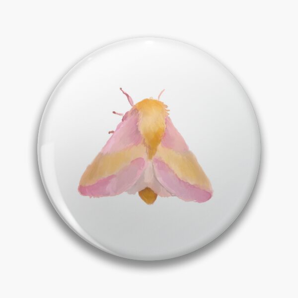 Item preview, Dryocampa rubicunda – Rosy Maple Moth Illustration designed and sold by creativevandal.