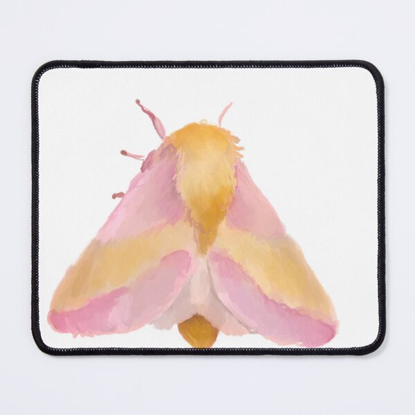 Item preview, Dryocampa rubicunda – Rosy Maple Moth Illustration designed and sold by creativevandal.