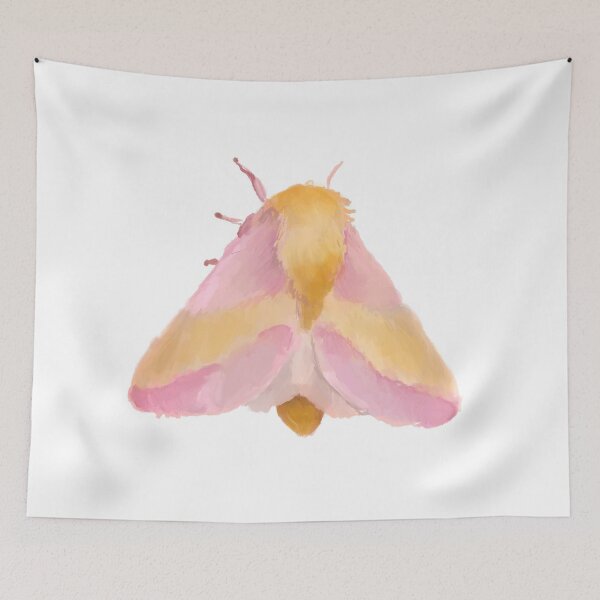 Item preview, Dryocampa rubicunda – Rosy Maple Moth Illustration designed and sold by creativevandal.