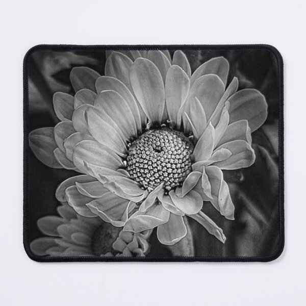 Item preview, Desert Blooms designed and sold by trailsitravel.