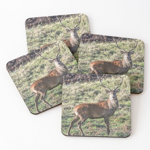 Item preview, Red Deer, Highlands, Scotland  designed and sold by Derren Jones.