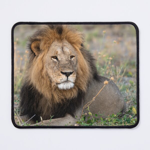 Item preview, Waziba — Renegades Lion Of Savuti s Northern Pride designed and sold by DavideAntoniani.
