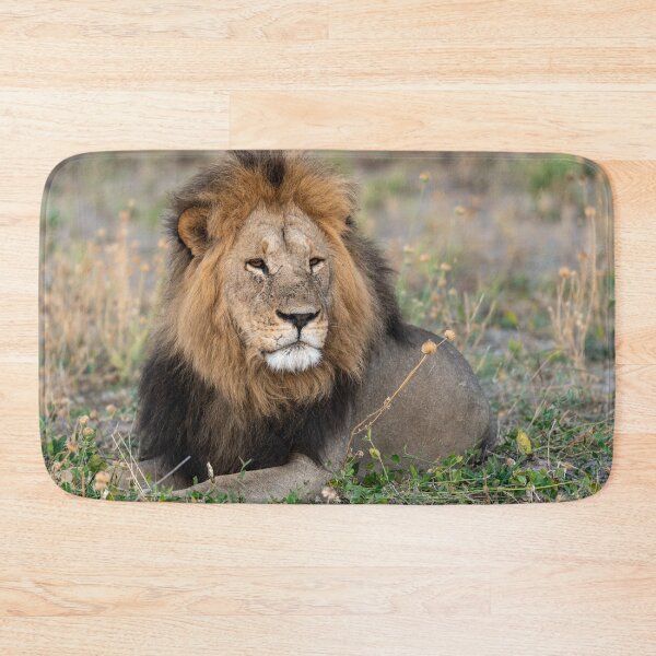 Item preview, Waziba — Renegades Lion Of Savuti s Northern Pride designed and sold by DavideAntoniani.