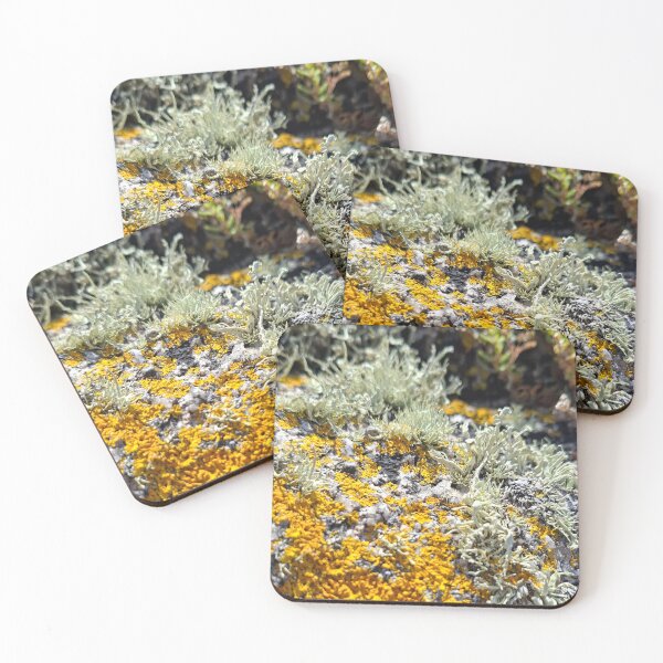 Item preview, seaweed rockpool designed and sold by Danielle Fougere Artist.